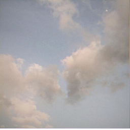 ✧
