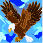 Hawk ® Designs
