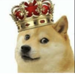 King westDOGE