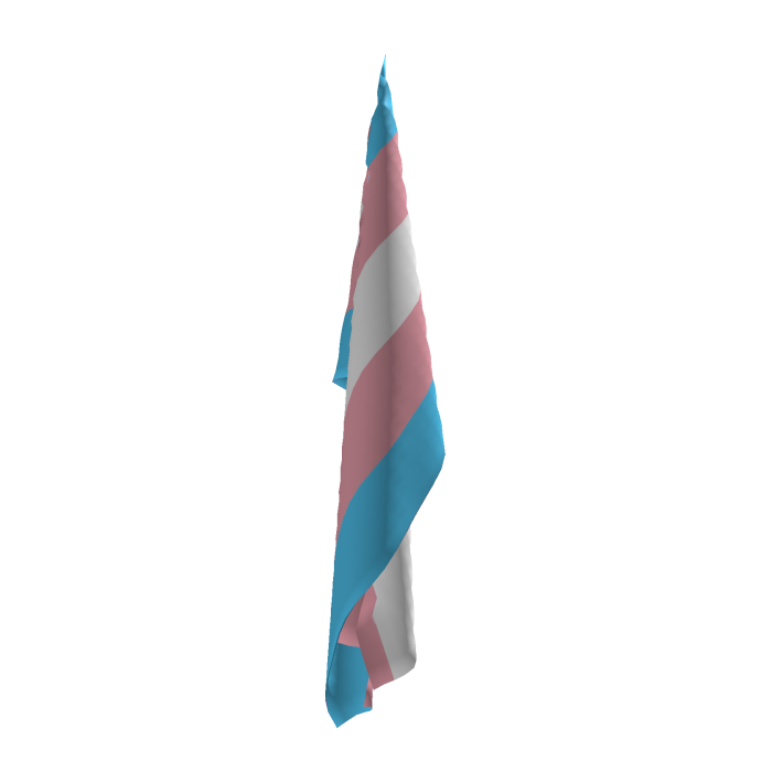 🏳️‍⚧️ Transgender Flag Bandana [Front P