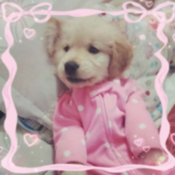 ♡
