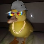 DZ7 LOKAS