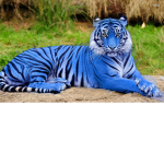 The Teal Lions (The gamer DereDere Fan Group)