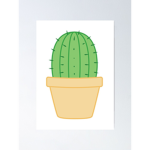 cacti group