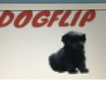 Dogflipgamer2587 fan group