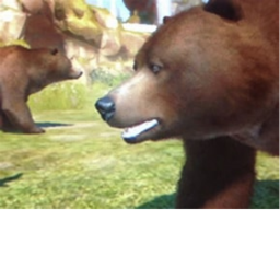 Bear Tycoon