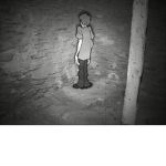 Scream House DEV