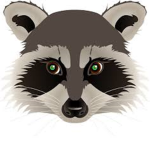GamingRaccoon Fans