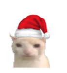 Jojiwnns02