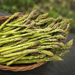 Asparagus United