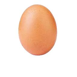nothing just an egg
