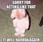 Womp womp bruh :(