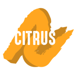 Citrus Designs Inc. [UNDER CONSTRUCTION]