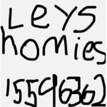 Leys Homies