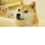 Mega super doge