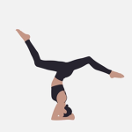 Season’s gymnastics