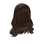 Brown Long Wavy Hair