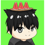 光明騎士戰隊