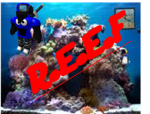 R.E.E.F (ROBLOX'S-ELITE-EPIC-FORCES