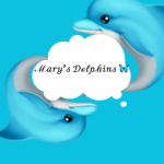 •Mary’s Dolphins•