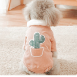 Lilly’s Apparel