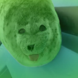 ‿୨♡୧‿