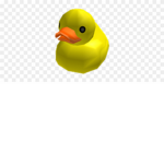 the duck colony