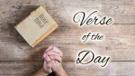Verse of the Day!