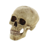 BOSS GROUP FOR THE AMAZING :SKULL: