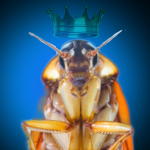 ~Roach Academy~