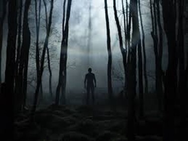 Explore The Scary Forest