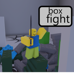box fight