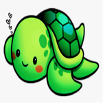 TEAM TURTLE.pl