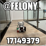 彡 Felony
