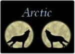RSF Arctic Black Ops