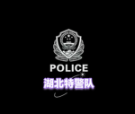 湖北市特种警察部门