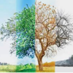 The_4_Seasons