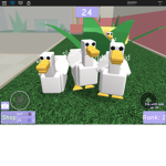 Sir duck worth fan group!🐥🦆