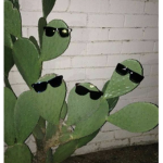 ~potato group~