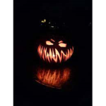 LITTLE PUMPKIN
