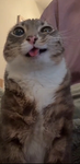 unkn0wnn