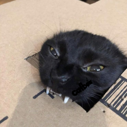 [V2] catbox