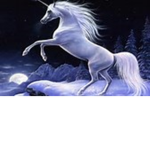 Unicorns R Life