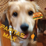Papitas Max