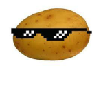 The cool potatoez