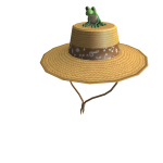 Frog on Straw Hat
