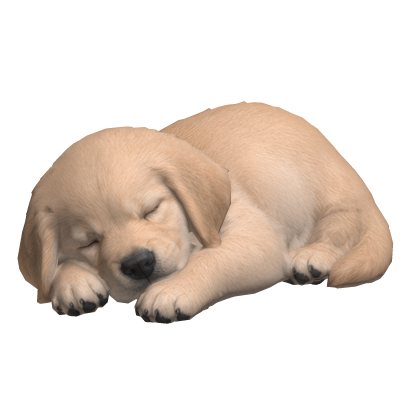 Cute Sleeping Puppy