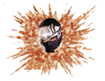 Explosive Ninjas