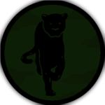 Task-Force 191 ''Panther''