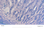 the sky for will